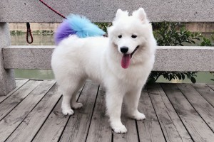 poker透视开挂“微乐江西麻将小程序怎样免费开挂”(详细辅助教程)