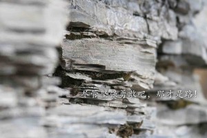 分享干货“微乐甘肃麻将万能开挂器”最新内幕曝光