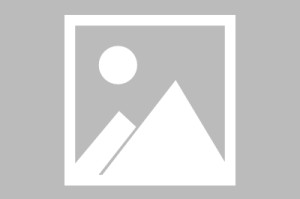 【今日大连疫情最新消息,今日大连新冠状新增情况】