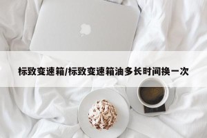 标致变速箱/标致变速箱油多长时间换一次