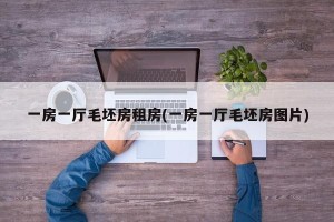 一房一厅毛坯房租房(一房一厅毛坯房图片)