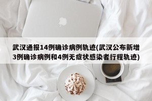 武汉通报14例确诊病例轨迹(武汉公布新增3例确诊病例和4例无症状感染者行程轨迹)