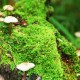 介绍一款“微乐家乡麻将挂多少钱”(原来确实是有挂)
