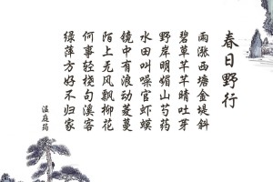玩家实测“手机微乐斗地主必赢神器”真实开挂技巧分享