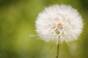 必学教你安装“福建十三水可以开挂吗”(曝光透视必备猫腻)