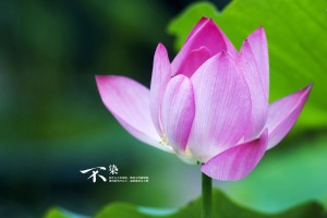 玩家必读“小程序微乐四川麻将必赢神器”附开挂脚本详细步骤
