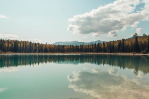 分享干货“微乐山西麻将开挂神器”详细教程辅助工具