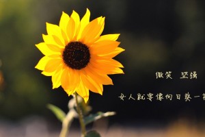 推荐教程“微友麻将怎么提高胜率”附开挂脚本详细教程-知乎