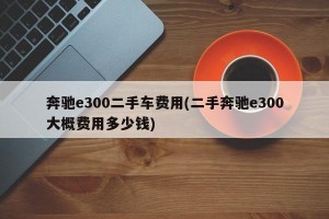 奔驰e300二手车费用(二手奔驰e300大概费用多少钱)