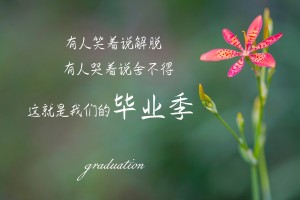 科普实测“哈灵麻将开挂神器下载”确实真的有挂