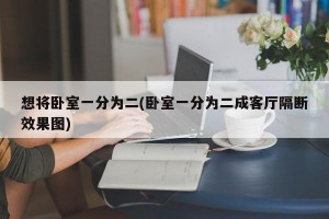想将卧室一分为二(卧室一分为二成客厅隔断效果图)