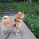 科普知识“微乐江苏麻将万能开挂器”爆光开挂猫腻