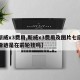 【斯威x3费用,斯威x3费用及图片七座挂防滑链是在前轮挂吗】