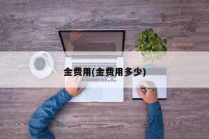 金费用(金费用多少)