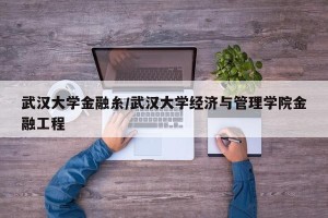 武汉大学金融糸/武汉大学经济与管理学院金融工程