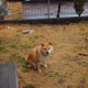 介绍一款“微乐安徽麻将万能开挂器通用版”全程揭秘开挂教程
