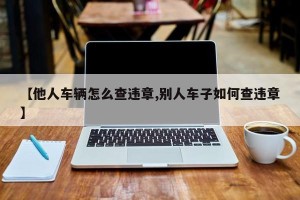 【他人车辆怎么查违章,别人车子如何查违章】
