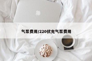 气泵费用/220伏充气泵费用