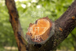 必看科普“方片十三张有挂吗”附开挂脚本详细教程-知乎
