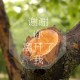 教程辅助!“微乐陕西三代二有没有挂”原来有神器下载！