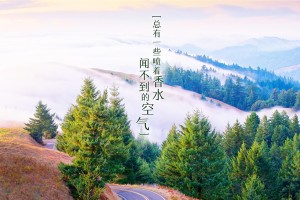 教程辅助！“微乐麻将万能开挂器通用版”(原来确实是有挂)