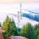 教程辅助！“哈灵麻将外卦神器免费版”确实真的有挂