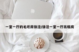 一室一厅的毛坯房徐泾/徐泾一室一厅出租房