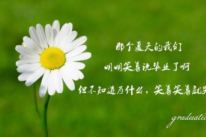 教程辅助！“微乐麻将小程序必赢神器免费安装”全程揭秘开挂教程