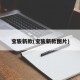 宝骏新款(宝骏新款图片)