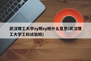 武汉理工大学zy班sy班什么意思(武汉理工大学工科试验班)