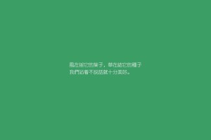 我来告诉你“微信小程序微乐陕西挖坑辅助器”详细开挂玩法