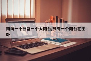 南向一个卧室一个大阳台/只有一个阳台在主卧