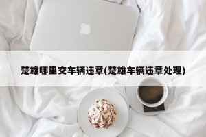 楚雄哪里交车辆违章(楚雄车辆违章处理)