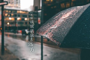 必看科普“手机13水怎么控制输赢”附开挂脚本详细教程-知乎