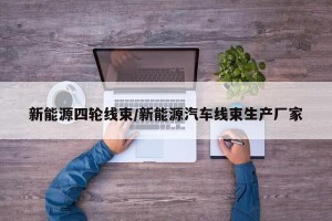 新能源四轮线束/新能源汽车线束生产厂家