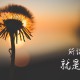 分享干货“微乐麻将对方一直赢”(原来确实是有挂)