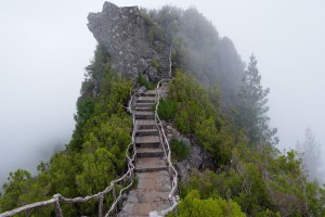玩家必读“小程序蜀山麻将确实真的有挂”(曝光透视必备猫腻)