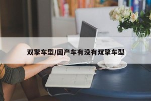 双擎车型/国产车有没有双擎车型
