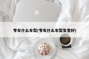 专车什么车型(专车什么车型生意好)