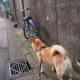 必看教程“微乐跑得快透视挂安装”附开挂脚本详细教程-知乎