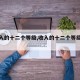 【收入的十二个等级,收入的十二个等级是什么】