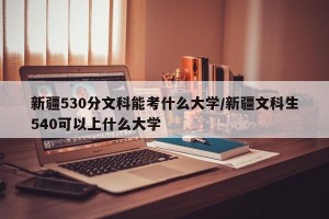 新疆530分文科能考什么大学/新疆文科生540可以上什么大学