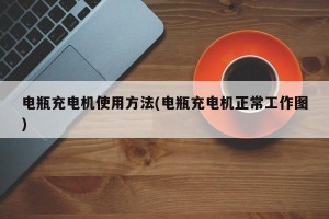 电瓶充电机使用方法(电瓶充电机正常工作图)