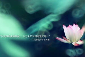 3分钟教程“手机麻将开挂神器下载软件”(曝光透视必备猫腻)
