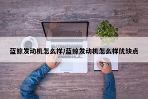 蓝鲸发动机怎么样/蓝鲸发动机怎么样优缺点